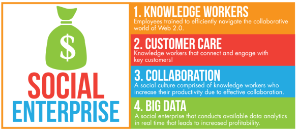 The Social Enterprise